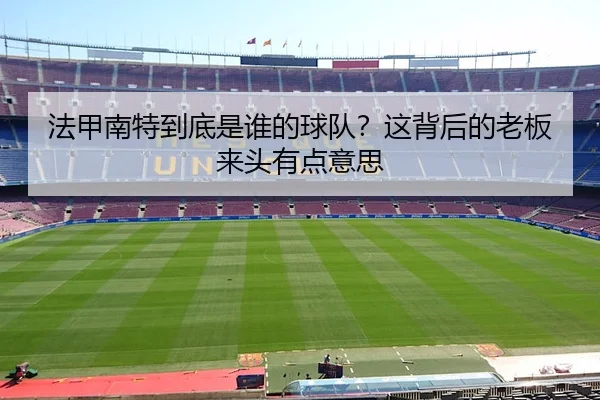法甲南特到底是谁的球队？这背后的老板来头有点意思