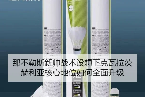 那不勒斯新帅战术设想下克瓦拉茨赫利亚核心地位如何全面升级