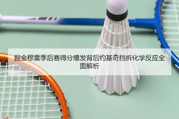 掘金穆雷季后赛得分爆发背后约基奇挡拆化学反应全面解析