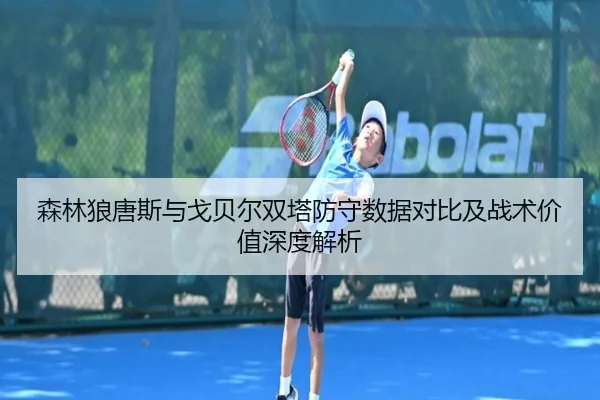 森林狼唐斯与戈贝尔双塔防守数据对比及战术价值深度解析